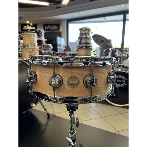 Collector solid maple - dw,
